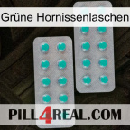 Grüne Hornissenlaschen 29